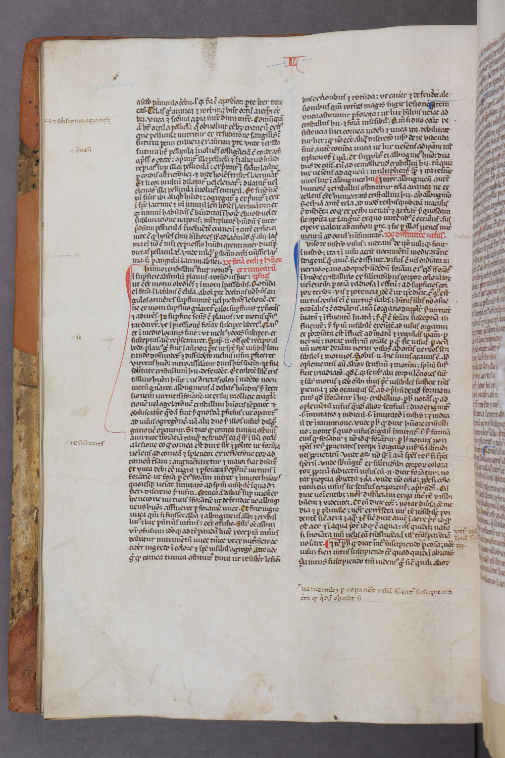Folio 57 verso
